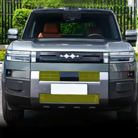 Insect Net Leopard 7 for BYD Leopard 7 in UAE